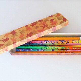 SVG Pencil Box Set