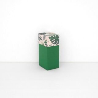 2.5x2x5 Angled SVG Box - 1 Inch Angle | SVG Templates | 3D Box